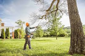 Best Utility Line Clearance  in Walton Park, NY