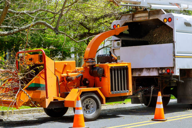Best Seasonal Cleanup (Spring/Fall)  in Walton Park, NY