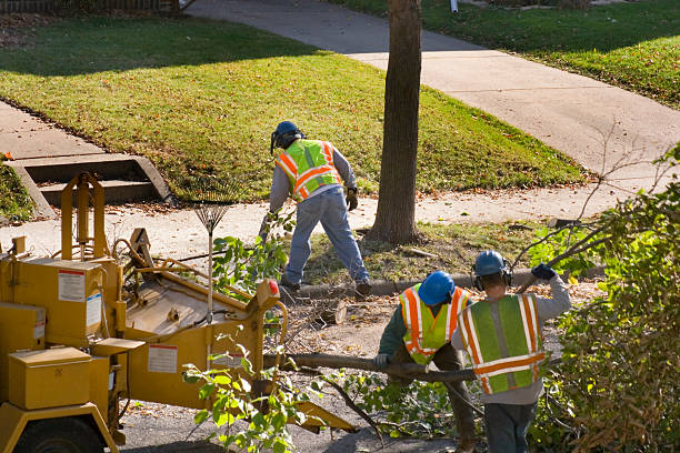 Best Firewood Processing and Delivery  in Walton Park, NY