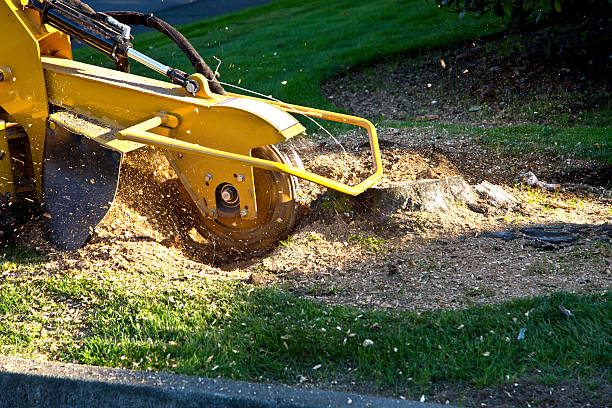 Best Soil Testing and Treatment  in Walton Park, NY